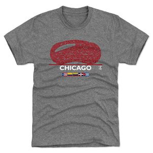 Chicago C Men's Premium T-Shirt | 500 LEVEL