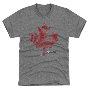 Toronto Men's Premium T-Shirt | 500 LEVEL