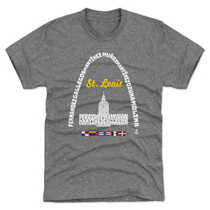 St. Louis Men's Premium T-Shirt | 500 LEVEL