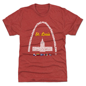 St. Louis Men's Premium T-Shirt | 500 LEVEL